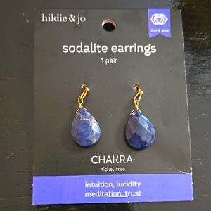 Hildie & Jo Sodalite Earrings